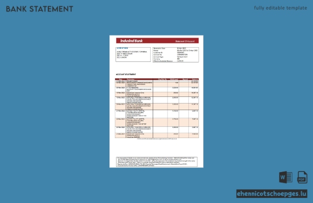 Beispiel eines Kontoauszugs der India IndusInd Bank (Wortvorschau)